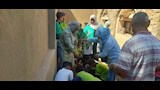  تعليم أسوان يطلق مبادرة لتشجير المدارس (6)