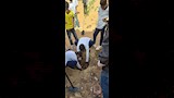  تعليم أسوان يطلق مبادرة لتشجير المدارس (5)