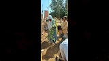  تعليم أسوان يطلق مبادرة لتشجير المدارس (7)