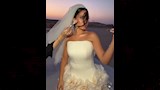 مصطفي شوبير