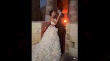 مصطفي شوبير