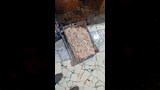 دواجن مجهولة