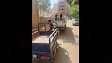 الجيزة تبدأ تنفيذ خط صرف صحي بديل لمدرستي خالد بن الوليد والأقصى (5)