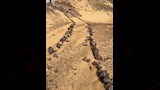 نقوش الجنود وعلب الطعام تكشف حكايات جبل الإنجليز بالخارجة (7)