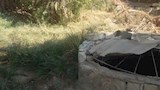 عين البلد بالفرافرة (6)