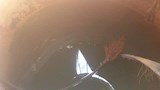 عين البلد بالفرافرة (15)