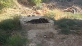 عين البلد بالفرافرة (18)