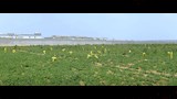 مراكز الإصلاح والتأهيل  (19)