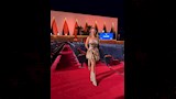 هنا ممدوح عبد العليم في فعاليات مهرجان الجونة  (10)