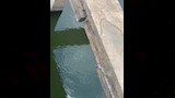 تهالك الفواصل