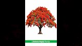 تخضير القاهرة (5)