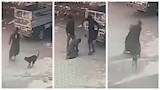 بالصور- شاب يتصدى لكلب مسعور هاجم الأطفال في المنيا