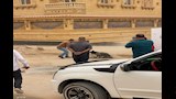 حملة من الطب البيطري بالجيزة وإدارة البيئة والأحياء بجهاز مدينة حدائق أكتوبر