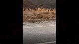 الأمطار 