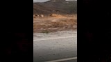 تساقط أمطار بمنطقة شقرا 