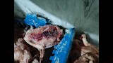 الطب البيطري يضبط 3 أطنان هياكل دواجن فاسدة بالخصوص (6)