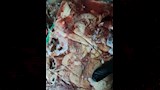 الطب البيطري يضبط 3 أطنان هياكل دواجن فاسدة بالخصوص (7)