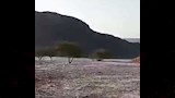 بعد السيل عن الطريق 