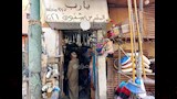 دكان عم شنوده