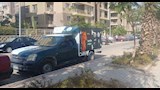 حملة من الطب البيطري بالجيزة لضبط الكلاب الضالة  (5)