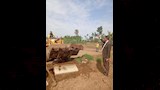 أثناء تكسير القناية الخرسانية