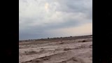 سيل جارف بوادي وتير 