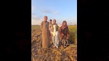 قصة الحاجة لواحظ معمرة منيا القمح في الشرقية (4)