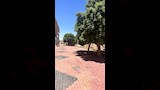 انتهاء تطوير شوارع منطقة البنك الزراعي بالباويطي (1)