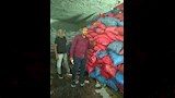 ضبط أطنان من الخرشوف الفاسد بالبحيرة_