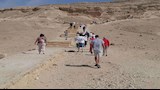 وفود سياحية تزور آثار تل العمارنة وبني حسن وتونا الجبل بالمنيا