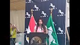لحظة افتتاح مهرجان الخيول العربية في محافظة الشرقية الأصيلة (5)