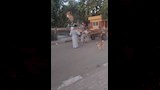 سائق قطار بأسوان يمنع كارثة ويوقف رحلته لعبور مزارع وبقرته (4)