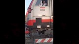 سائق قطار بأسوان يمنع كارثة ويوقف رحلته لعبور مزارع وبقرته (3)