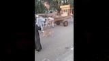 سائق قطار بأسوان يمنع كارثة ويوقف رحلته لعبور مزارع وبقرته (1)