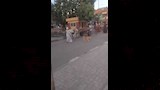 مزارع يعبر مزلقان مغلق بعربة كارو وبقرة 