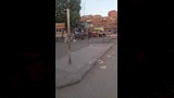 عبور مزارع وبقرته مزلقان أثناء مرور القطار
