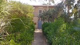 استراحة طه حسين بتونا الجبل في المنيا (1)