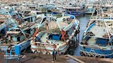 توقف الصيد بميناء البرلس 48 ساعة بسبب سوء الأحوال الجوية (5)