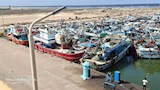 توقف الصيد بميناء البرلس 48 ساعة بسبب سوء الأحوال الجوية (13)
