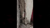 العقار المائل في الإسكندرية (2)