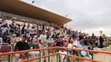 جماهير الوادي الجديد في استاد المحافظة الرياضي بحفل العيد القومي (1)