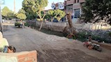 ديار ضحايا جريمة بني مزار (3)