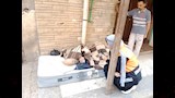 إنقاذ مسن بلا مأوى وإيداعه دار رعاية (1)