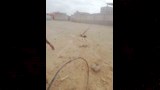 سقوط العمود