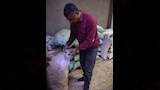ضبط 50 طن ملح و13 ألف لتر سولار في بني سويف (6)
