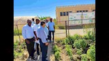 مكافحة الحشائش المائية (1)