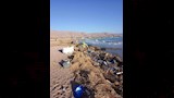 الراواسب على الشواطئ 