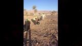 تنظيف الشواطئ 