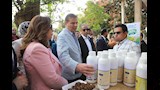 مهرجان النباتات الطبية والعطرية (3)