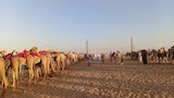 السباقات _2